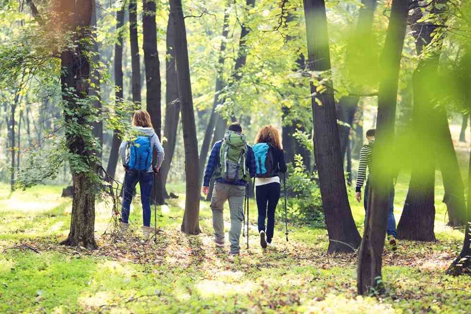 Family hiking in the woods