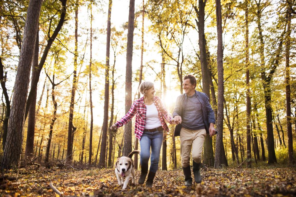 Couple out for walk in forest