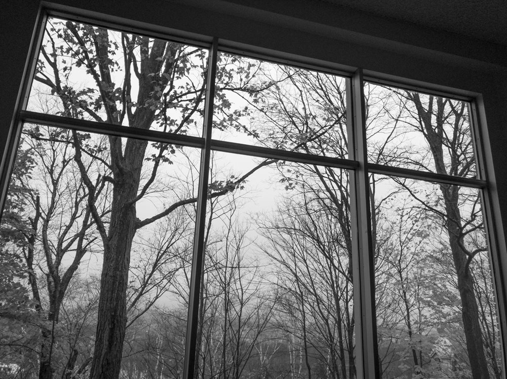 View of bare trees through window in winter